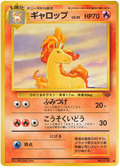 Rapidash - Pokémon Jungle