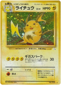 Raichu - Mystery of the Fossils