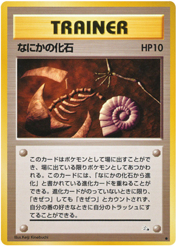 Mysterious Fossil - Mystery of the Fossils