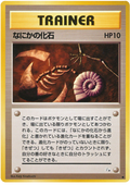 Mysterious Fossil - Mystery of the Fossils
