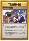 Erika's Maids - Leaders' Stadium