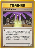 Pewter City Gym - Leaders' Stadium