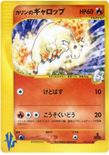 Karen's Rapidash - VS - #087