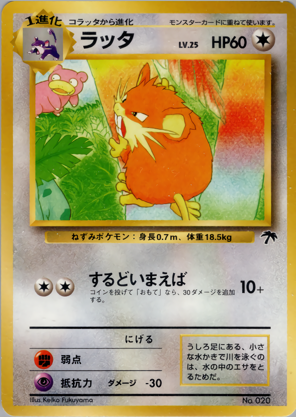 Raticate - Japanese Southern Islands