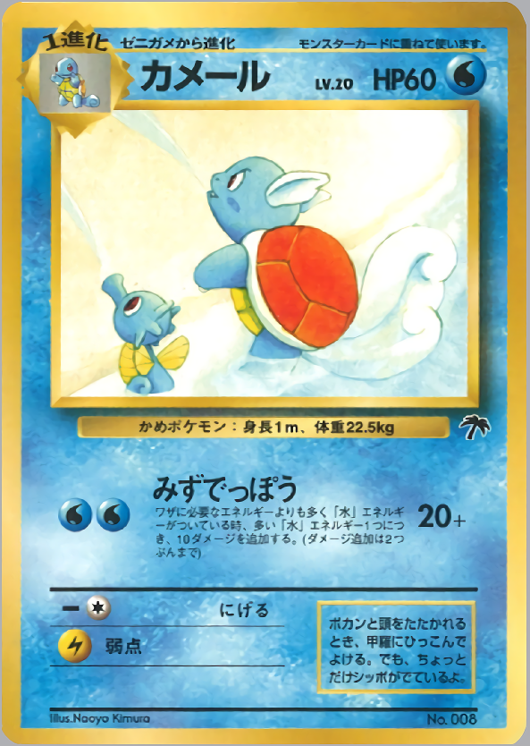 Wartortle - Japanese Southern Islands