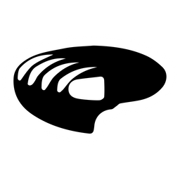 Gym Challenge set symbol