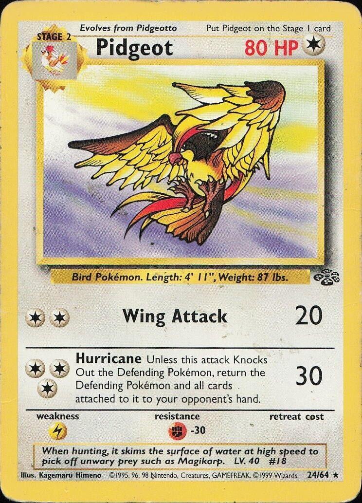 Pidgeot - Jungle - #24