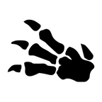 Fossil set symbol