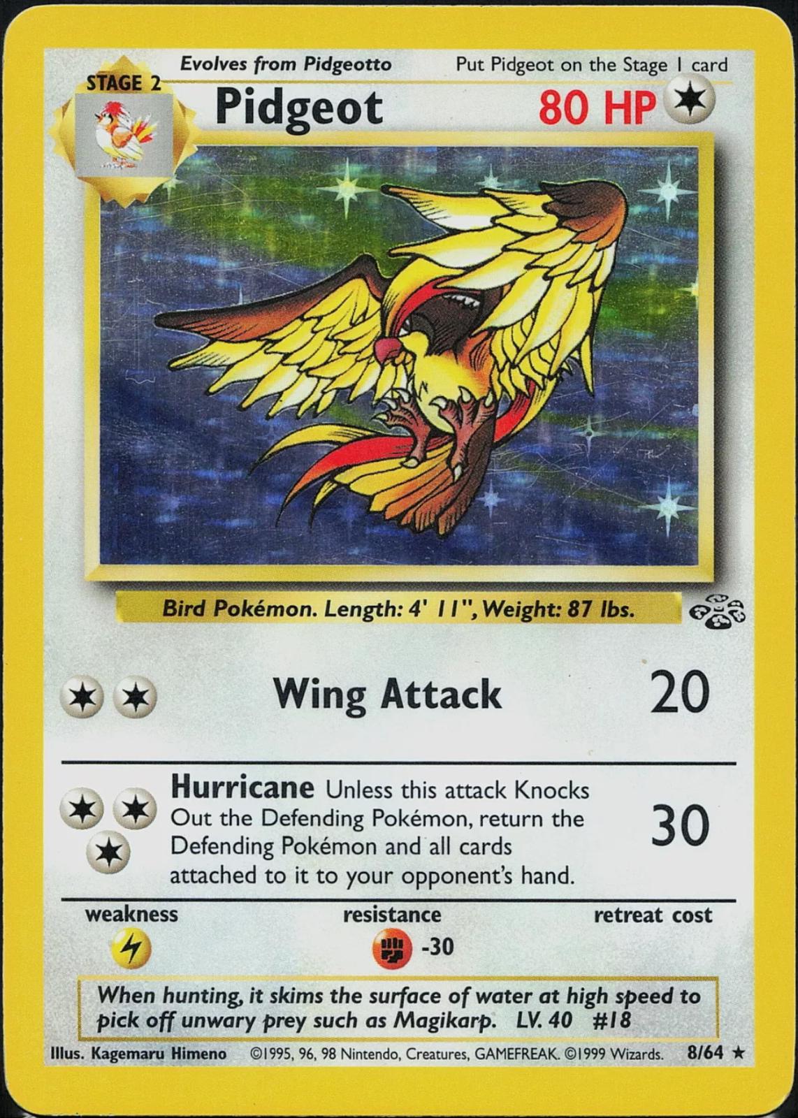 Pidgeot - Jungle - #8