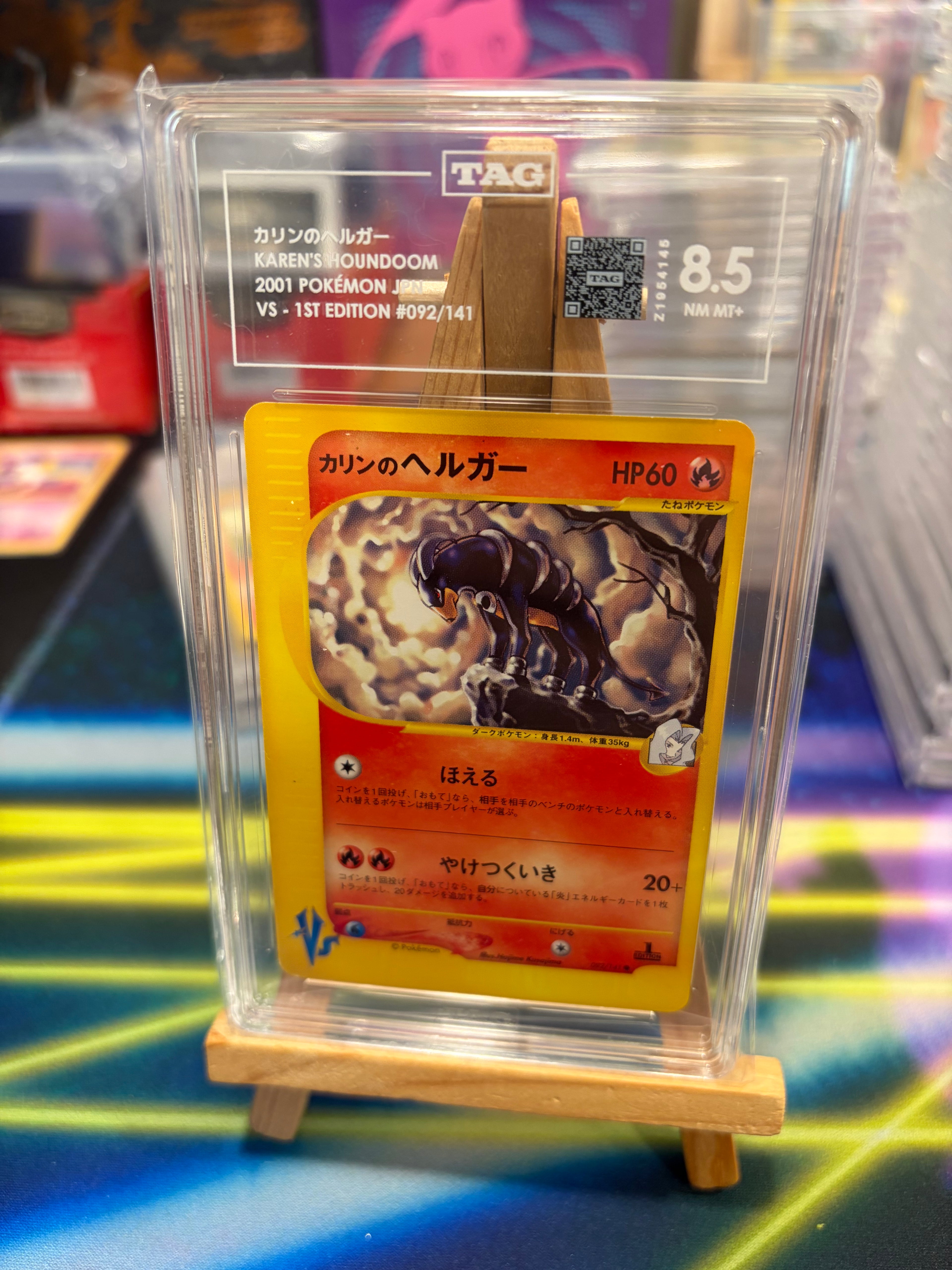 Karen's Houndoom - VS - TAG 8.5