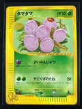 Exeggcute - Web - #004