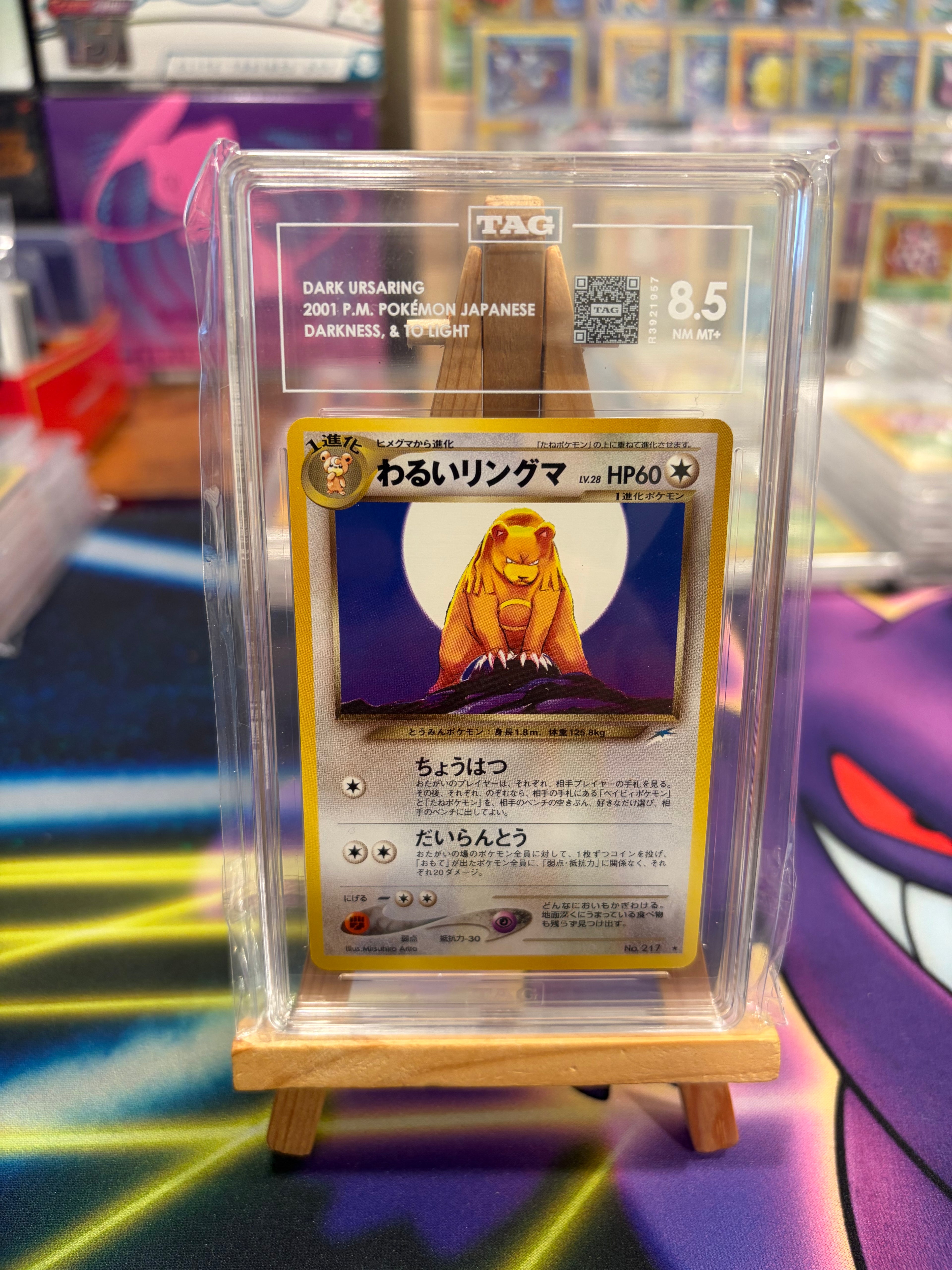 Dark Ursaring - Darkness and to Light - TAG 8.5