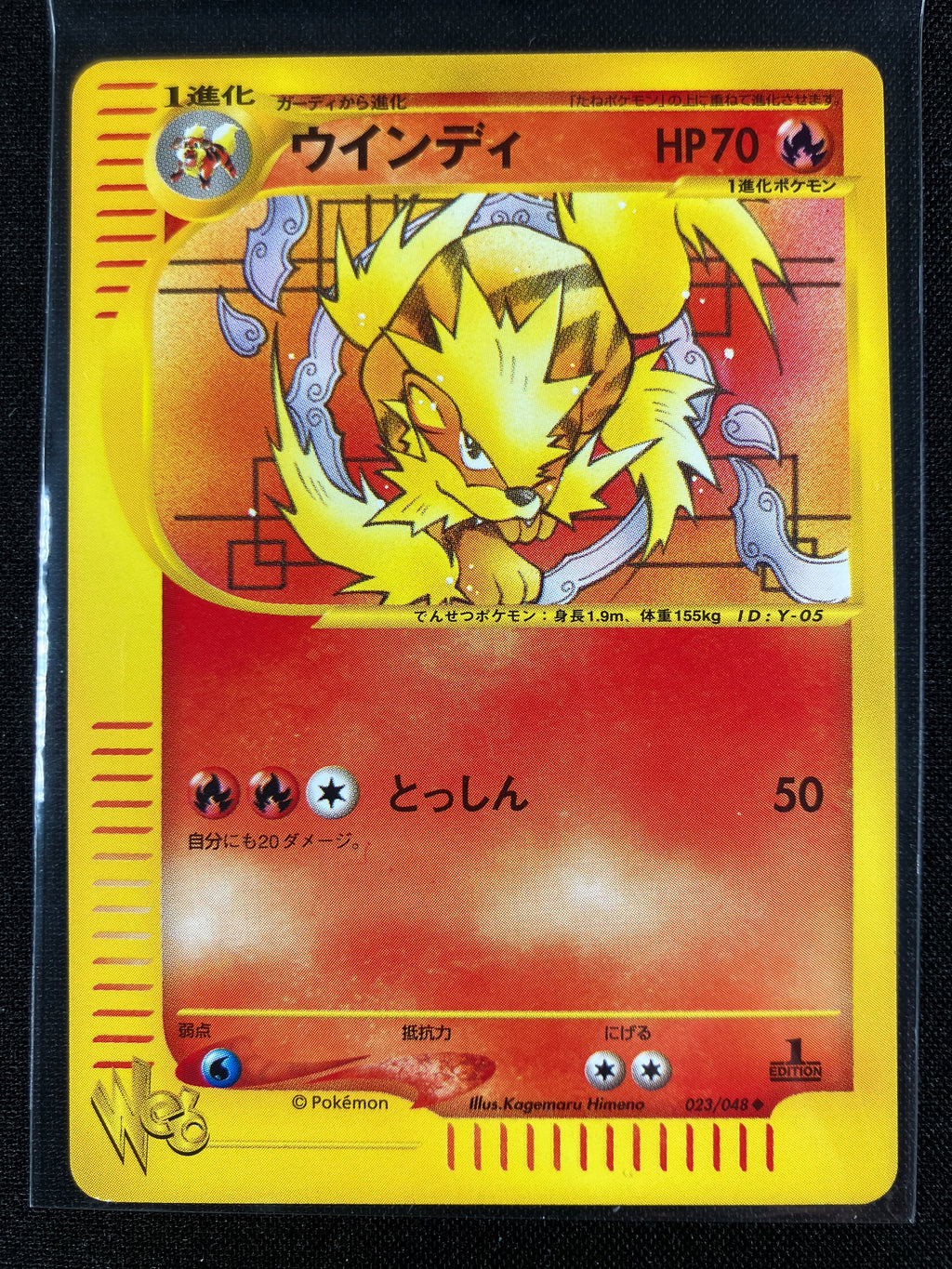 Arcanine - Web - #023 (1st Edition)