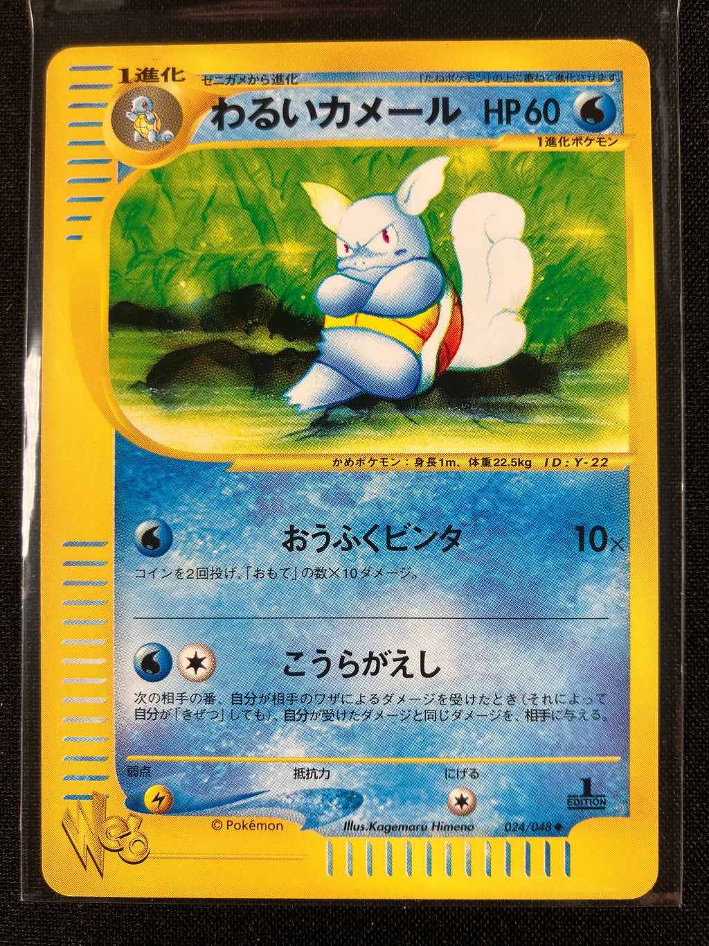 Dark Wartortle - Web - #024 (1st Edition)