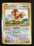 Pidgeotto - Expansion Pack