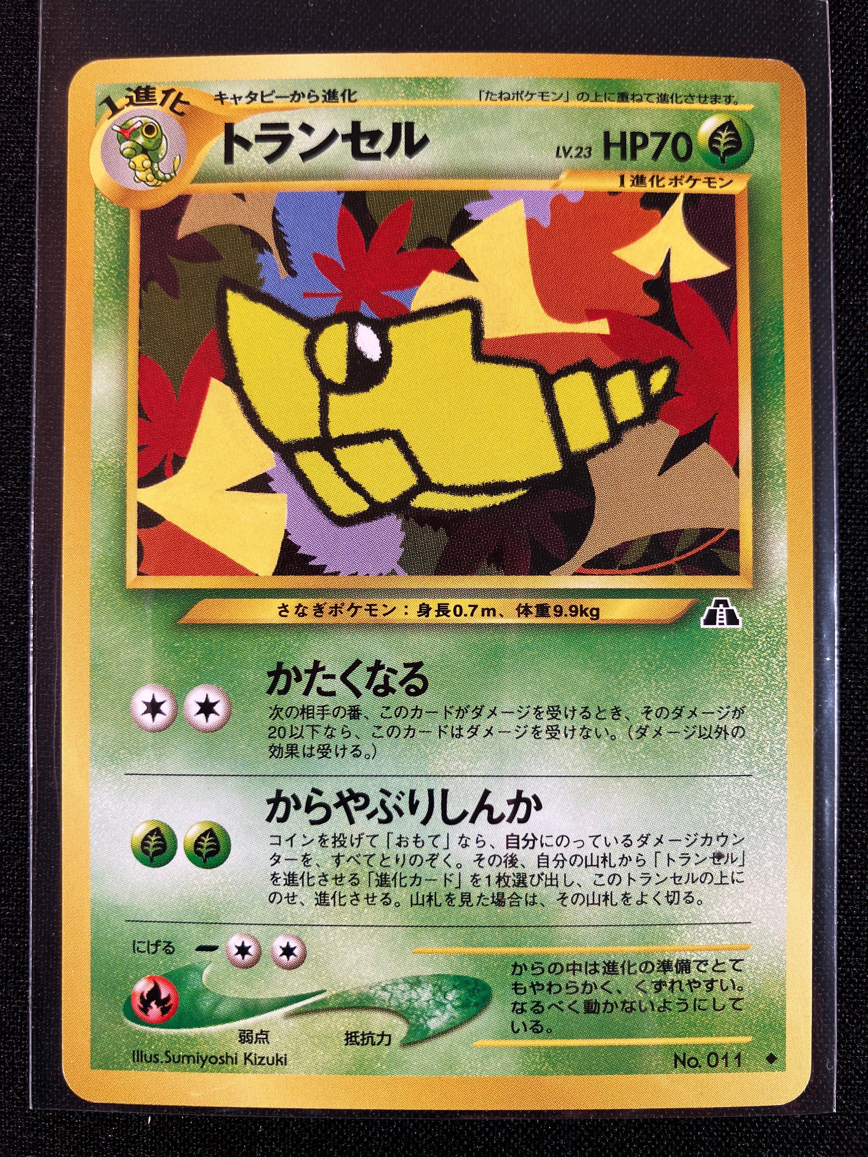 Metapod - Crossing The Ruins...