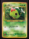 Caterpie - Crossing The Ruins...