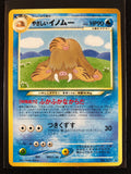 Light Piloswine - Darkness, And To Light...
