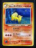 Light Ninetales - Darkness, And To Light...