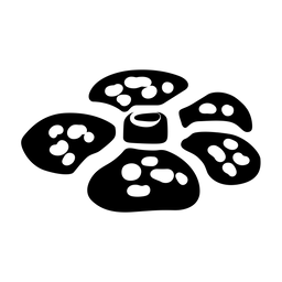 Pokémon Jungle set symbol